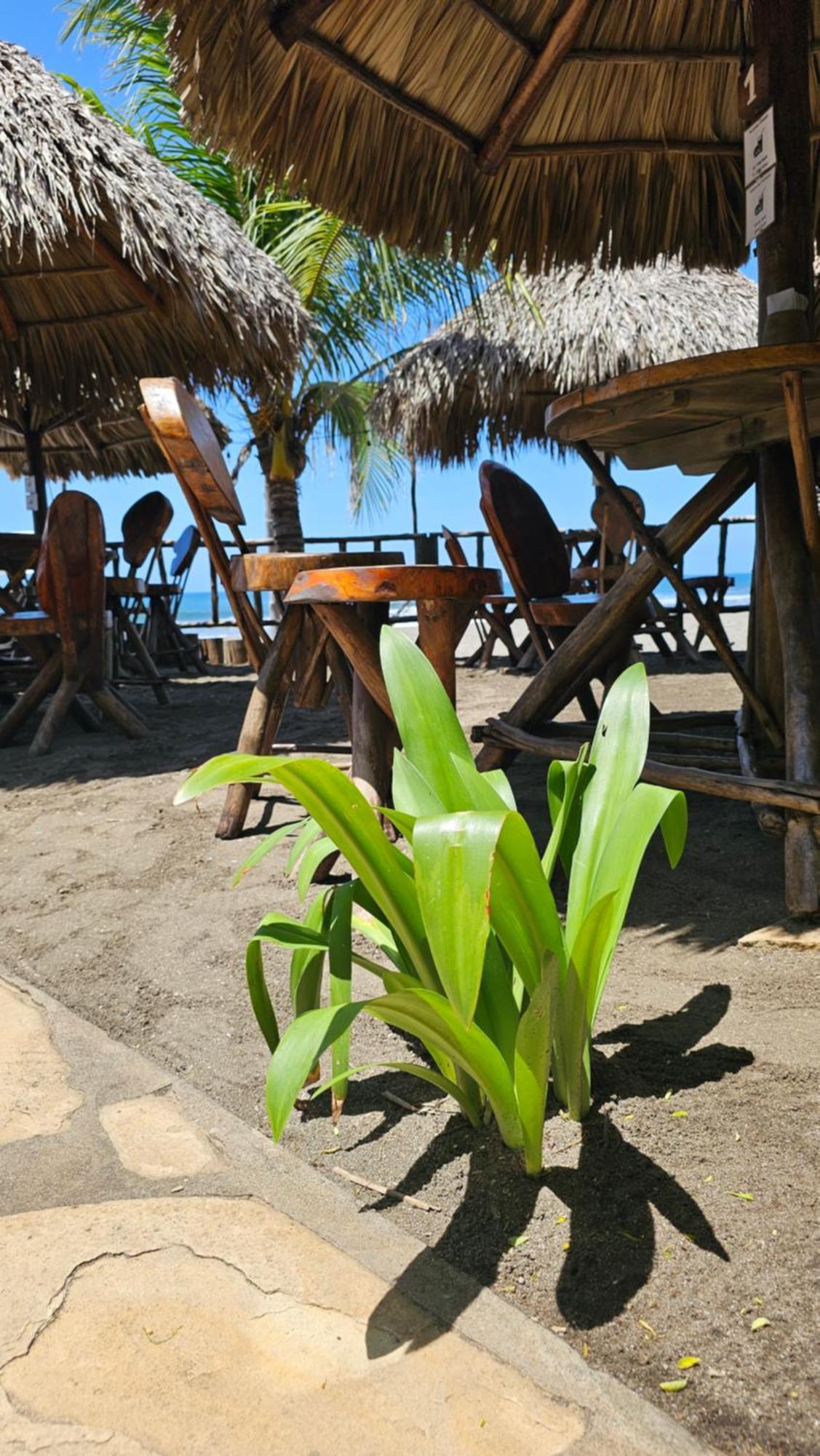 Mano A Mano Eco Hostal Las Peñitas Kültér fotó